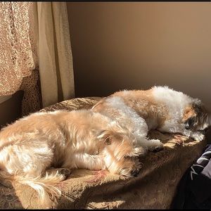 Meet your Posher, Karen